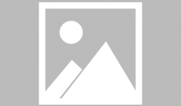 小兔子视频,萌趣互动，欢乐时光